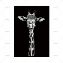 Load image into Gallery viewer, Animal Canvas  Wall Pic