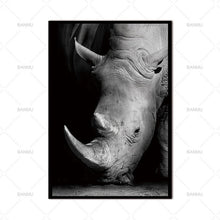 Load image into Gallery viewer, Animal Canvas  Wall Pic