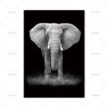 Load image into Gallery viewer, Animal Canvas  Wall Pic