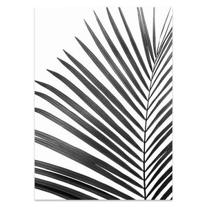 Black White Palm Tree Leaves Zebra Wall Pic